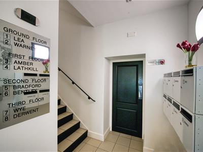 Picture 38